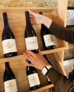 Gallery image of Quinta do Medronheiro Hotel Rural in Viseu