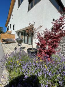Vonkajšia záhrada v ubytovaní Appartement Schladming Neu