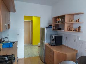 a kitchen with a stainless steel refrigerator and a yellow door at Andrea apartment in Trenčín