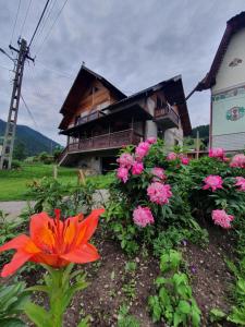 Gallery image of Casa Aureliana in Ciocăneşti