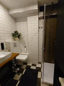 La salle de bains est pourvue de toilettes, d'un lavabo et d'une douche. dans l'établissement ZakoRustic, à Zakopane