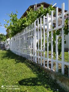 シュコルピロフツにあるYanakieviの家の前の白い柵