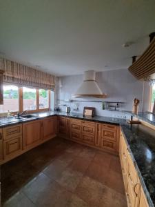 a large kitchen with wooden cabinets and a sink at Villa MAG in Druskininkai