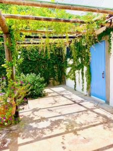 una pérgola con una puerta azul y algunas plantas en La Bocana Beach House en Santa Maria Huatulco