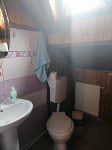 La salle de bains est pourvue de toilettes et d'un lavabo. dans l'établissement Domeniul Teodorescu, à Piatra Neamţ