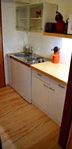 Kuchyň nebo kuchyňský kout v ubytování Gosau Apartment 006