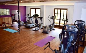 Fitness centrum a/nebo fitness zařízení v ubytování Gosau Apartment 006
