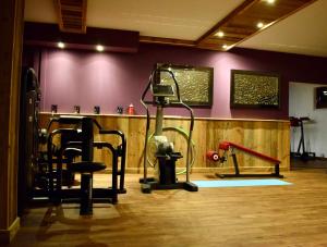Fitness centrum a/nebo fitness zařízení v ubytování Gosau Apartment 006