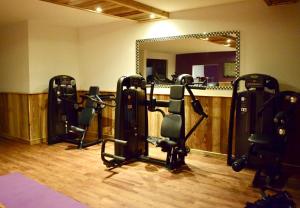 Fitness centrum a/nebo fitness zařízení v ubytování Gosau Apartment 006