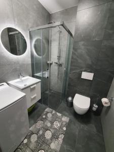 a bathroom with a shower and a toilet and a sink at Apartamenty u Aleksandry in Ustronie Morskie