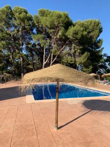 Bazén v ubytování Castillo con piscina en plena Sierra Calderona nebo v jeho okolí