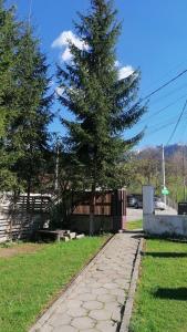 Fotografie z fotogalerie ubytování M7 Villa Bed& Bistro v destinaci Timisul de Jos
