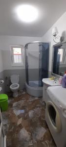 a bathroom with a shower and a toilet and a sink at Casă de vacanță in Izvoare +9 photos