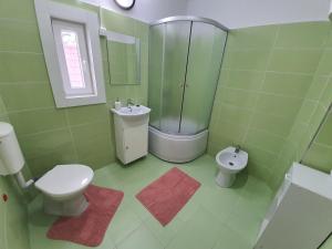 a green bathroom with a toilet and a sink at Casa De Oaspeti Anna in Sovata +27 photos