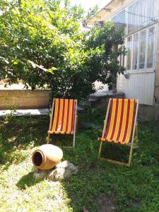 Zahrada ubytování Beruka Guest House