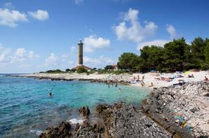 En strand ved eller i nærheten av leiligheten