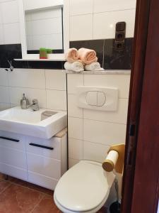 een kleine badkamer met toilet en wastafel bij Hana in Umag +24 foto's