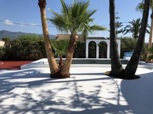 Fotografia z galérie ubytovania Villa Sofia - Benicassim REF 006 v destinácii Benicàssim