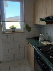 Kuchyň nebo kuchyňský kout v ubytování Apartman Katica