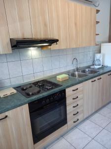 Kuchyň nebo kuchyňský kout v ubytování Apartman Katica