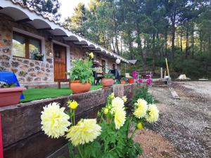 Zahrada ubytování Chalet de Montaña Parque Natural Calar Río Mundo - Independiente - Wifi