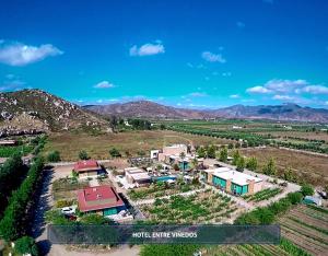 an aerial view of a farm with mountains in the background at Entre Viñedos by Hotel Boutique Valle de Guadalupe in Valle de Guadalupe