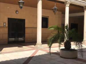 a palm tree in front of a building with columns at Las 5 Bes- Estudio bed&breakfast in Valladolid +6 photos