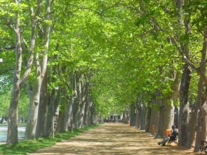 バラトンフゥルドヴァールにあるApartment Balatonföldvar/Balaton 18531のギャラリーの写真