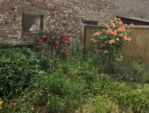 Κήπος έξω από το Handwerker Unterkunft Monteurzimmer mit Gemeinschaftsbad in Brebach