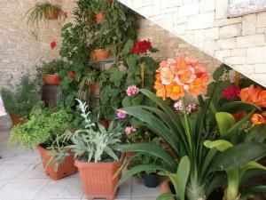 Vonkajšia záhrada v ubytovaní Rovinj Two-Bedroom Apartment 1