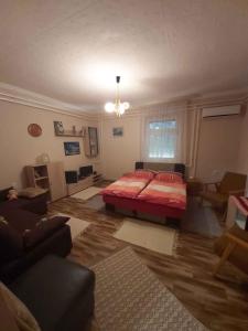 1 dormitorio con 1 cama y sala de estar en Holiday home Abadszalok/Theiss-See 20563, en Bánomszőlő
