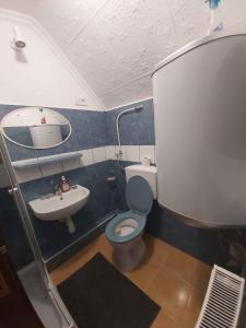 a small bathroom with a toilet and a sink at Holiday home Abadszalok/Theiss-See 20563 in Bánomszőlő