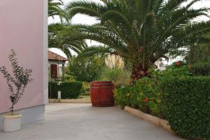 Vonkajšia záhrada v ubytovaní Apartment in Privlaka - Zadar Riviera 7894