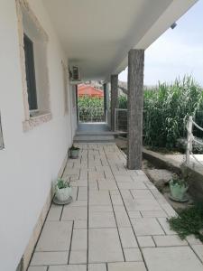 a walkway outside of a house with plants at Big Blue - Xenija (Veliko Plavetnilo - Ksenija) in Metajna