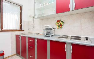 Kuchyň nebo kuchyňský kout v ubytování Apartment in Silo - Insel Krk 13496