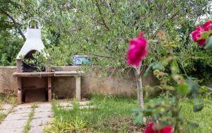 Zahrada ubytování Apartment in Silo - Insel Krk 13496