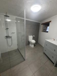 洛桑的住宿－Casa do Talasnal Montanhas de Amor，带淋浴、卫生间和盥洗盆的浴室