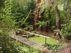 a wooden bridge in the middle of a forest at Hilltop in Stirling
