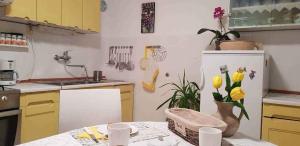 Fotografie z fotogalerie ubytování Apartment in Ika 15099 v destinaci Opric