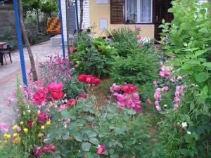 a garden with roses and other flowers in front of a house at Apartment Fazana, Istria 16 in Fažana