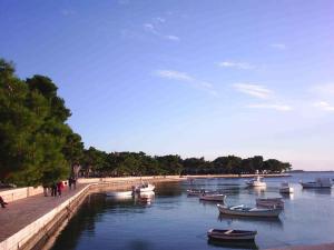 a group of boats in the water next to a beach at Apartment Fazana, Istria 16 in Fažana
