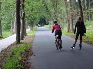 duas pessoas a andar de bicicleta por uma estrada em Apartment in Frantiskovy Lazně 1609 em Dolní Lomany