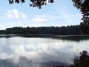 ein großer Wasserkörper mit Bäumen im Hintergrund in der Unterkunft Holiday home in Stipoklasy 1175 in Bludov