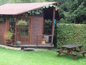 a small wooden cabin with a picnic table in the grass at Apartment in Rokytnice nad Jizerou 2102 in Rokytnice nad Jizerou