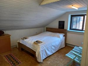 a bedroom with a bed in a attic at Country House Aleš in Gornja Bistrica
