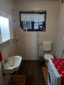 ein Bad mit einem Waschbecken, einem WC und einem Fenster in der Unterkunft Country House Aleš in Gornja Bistrica