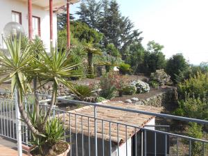 un jardin avec des palmiers et une clôture dans l'établissement Al Villino Sunrise appartamento in villa con piscina, à SantʼAlfio