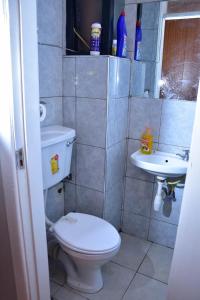 Baño pequeño con aseo y lavamanos en Maven Sparkles Furnished Apartments en Kiambu