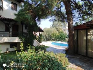 a house with a tree and a swimming pool at Penny's Holiday Studio in Hanioti