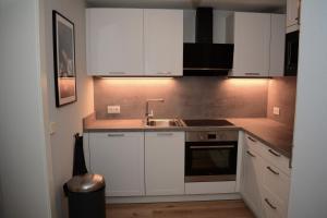 A kitchen or kitchenette at Forest Mountain Apartment